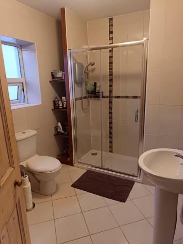 a bathroom with a shower and a toilet and a sink at Glenlara House in Youghal