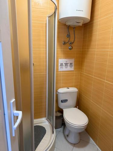 a small bathroom with a toilet and a shower at Villa Palma in Prijevor
