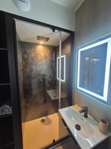 a bathroom with a sink and a shower at TREE LODGY - LE CHARME - Nouveau espace bien être disponible in Ray-sur-Saône