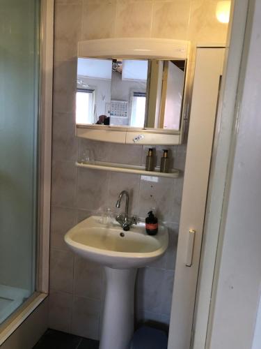 a bathroom with a sink and a mirror at De Merel in Pieterburen