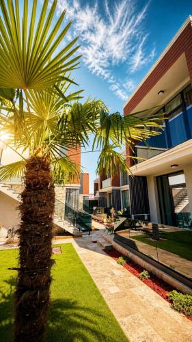 a palm tree in front of a building at Office Villas Costinesti in Costinesti