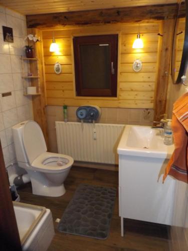 a bathroom with a toilet and a sink and a tv at Gästehaus Hahnenkrug in Lottorf