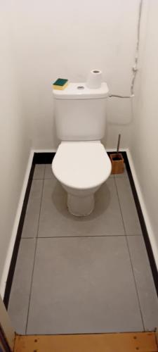 a bathroom with a white toilet in a room at Vilem in Komárov