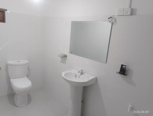 a white bathroom with a toilet and a sink at Tea Vibe Bungalow Malwatte in Bandarawela