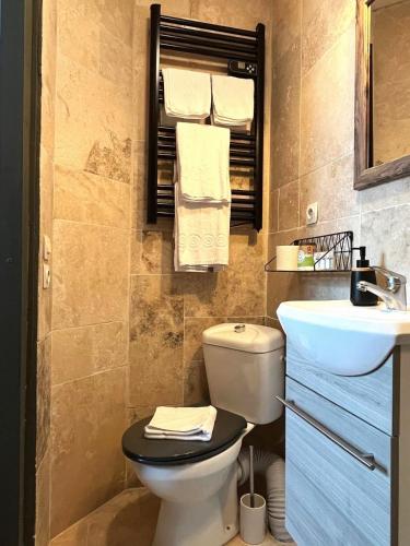 a bathroom with a toilet and a sink at Hôtel Maisons Delphine - Le Cottage in Villers-sur-Mer