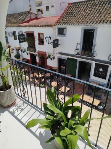 Impressive apartment with 3 bedrooms metres from the beach