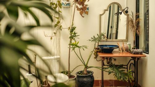 a room with plants on a table and a mirror at Neverland de Papillons in Sa Ðéc