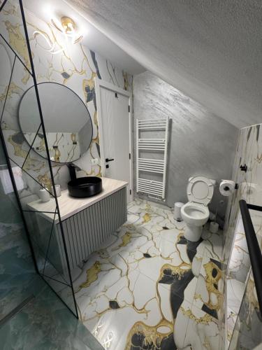 a bathroom with a toilet and a large mirror at Casa din Frasin in Poiana Mărului