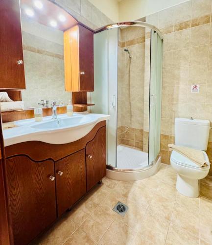 a bathroom with a shower and a sink and a toilet at Holiday Dream Thalia Apartment in Mastihari
