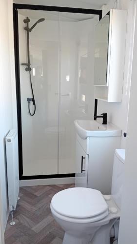 a white bathroom with a toilet and a shower at Alloro-dog in Hem