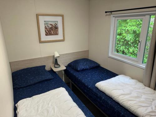 a bedroom with two beds and a window at Chalet JT08 in Renesse in Renesse