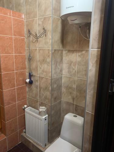 a bathroom with a toilet and a tiled wall at Genuez in Odesa