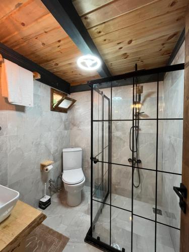 a bathroom with a shower with a toilet and a sink at Pisa Villa-Bungalov in Topluca