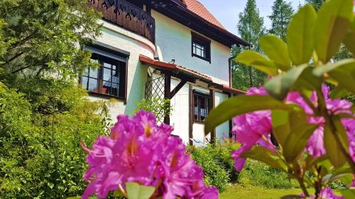 a house with pink flowers in front of it at Willa pod Jemiołą in Wisła