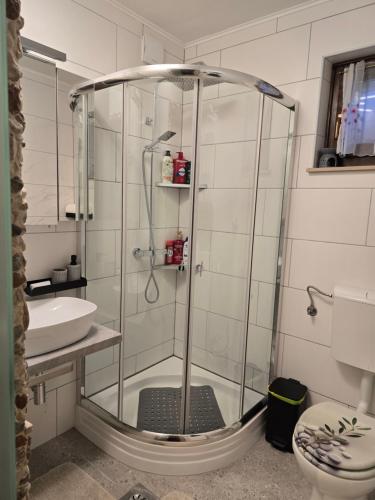 a shower with a glass door in a bathroom at Apartment Hosner in Lepena