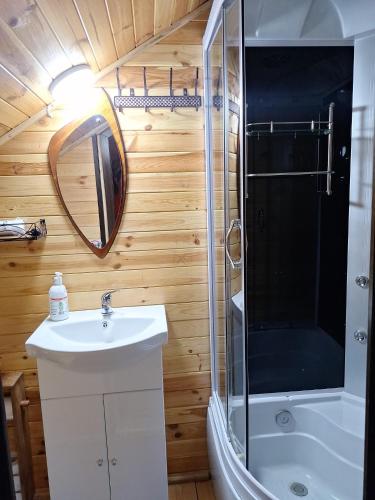 a bathroom with a shower and a sink and a mirror at Cabana La Bălănuț din Bucovina in Colacu