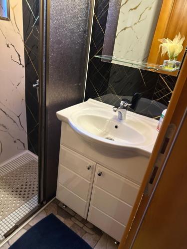 a bathroom with a sink and a shower at Paradise on the Vrbas River in Jajce