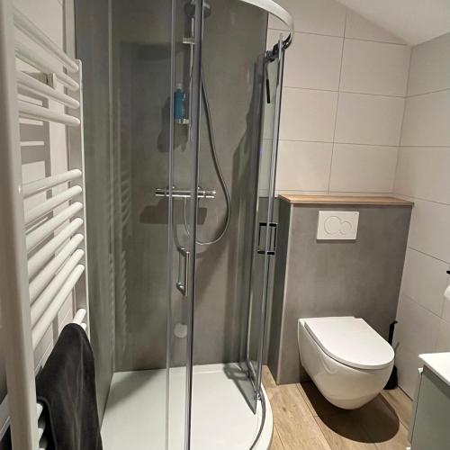 a bathroom with a shower and a toilet at B&B Itterhoeve in Neeritter