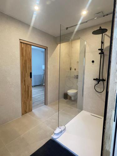 a bathroom with a glass shower and a toilet at Villa Mayeux in Giverny