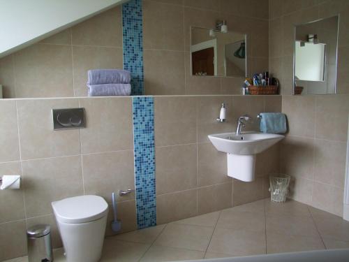a bathroom with a toilet and a sink at Glendalough Scenery Farmhouse in Roundwood