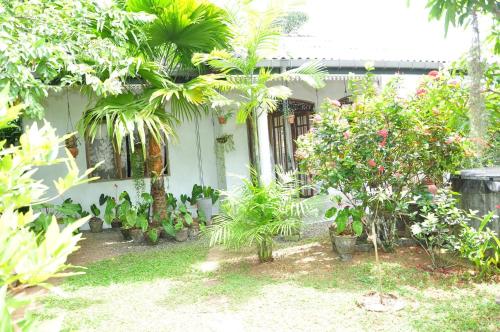 a garden with trees and plants in front of a house at Peacock rest in Batapola