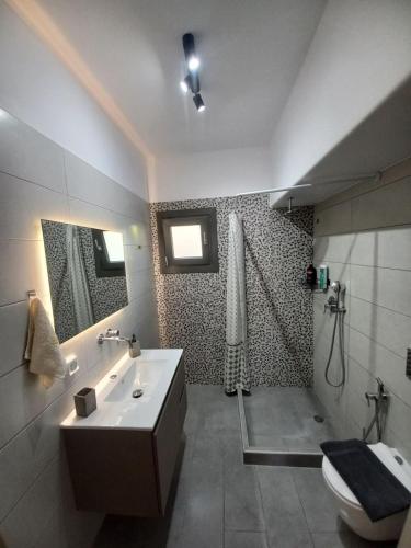 a bathroom with a sink and a toilet and a shower at Velania House 2 in Filótion