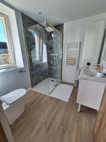 a bathroom with a shower and a toilet and a sink at La P'tite Pierre in Ineuil