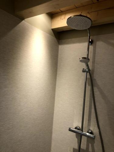 a shower in a bathroom with a shower head at La Pousterle - Gîte in Salettes