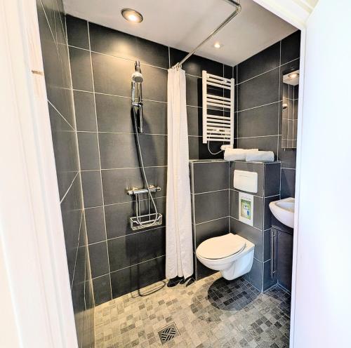 a bathroom with a toilet and a shower at Cottage de charme en pleine nature avec piscine in Saint-Philbert-du-Peuple