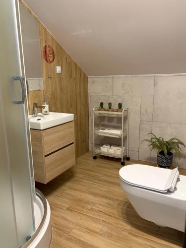 a bathroom with a toilet and a sink at Poddasze Na Mazurach in Pisz