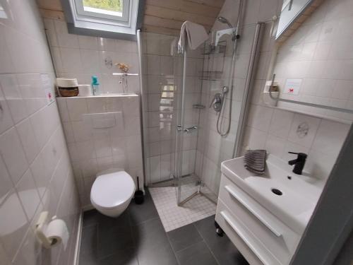 a bathroom with a shower and a toilet and a sink at Seeparkurlaub, Hessen in Kirchheim