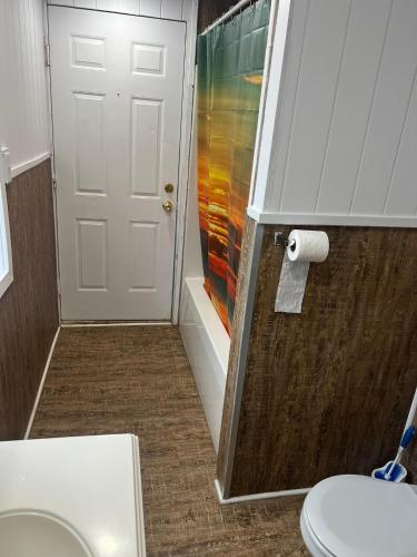 a bathroom with a white toilet and a shower at Cozy Woodland Bunkie Outdoor Shower WiFi in Simcoe