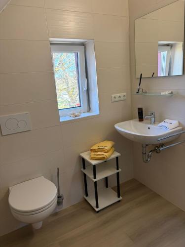 a bathroom with a toilet and a sink and a mirror at Wohnung Epprechtstein Seeperle Weißenstadt in Weißenstadt