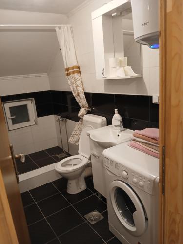 a bathroom with a toilet and a washing machine at Apartman Danica in Foča
