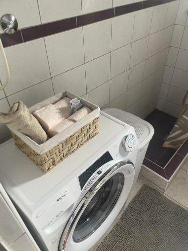 Apartman David