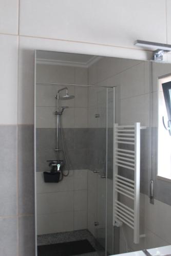 a shower with a glass door in a bathroom at Casa Barbeiro in Pombal