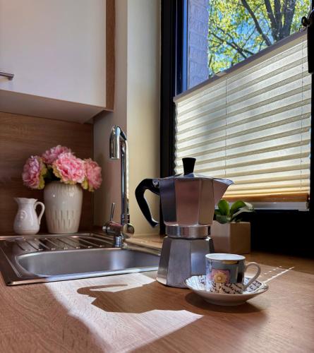 a kitchen counter with a coffee pot and a plate of food at Hamburg Living Hub in Pinneberg