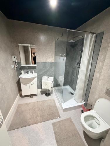 a bathroom with a shower and a toilet and a sink at LVO Apartments in Bîrlad