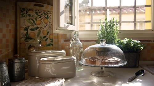 a cake in a glass dish on a kitchen counter at Rustico Dora in Camaiore