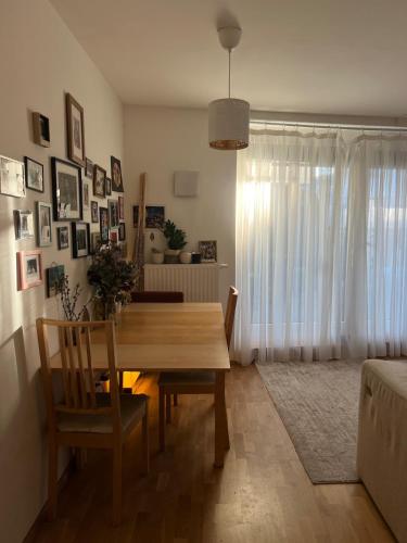 Cozy apartment near Eurovision Song Contest