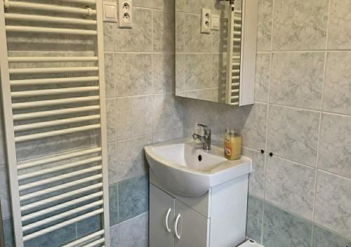 a bathroom with a sink and a mirror at Apartmány LAVANDE in Trávnica