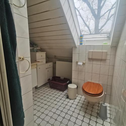 a small bathroom with a toilet and a window at FEWO Radebeul Am Waldrand Spittelholz in Radebeul