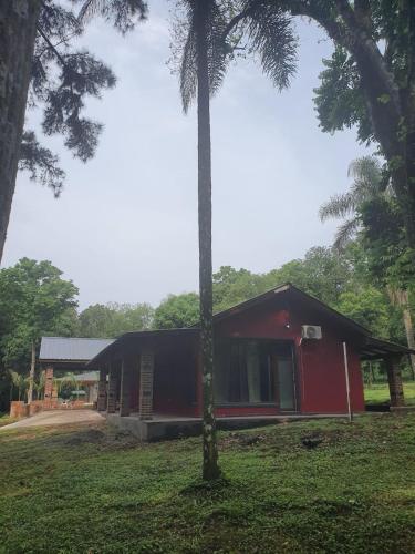 a red building with a palm tree in front of it at RadiX MISIONES in Puerto Leoni