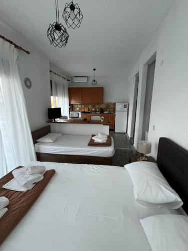 PELEKAN rooms and apartments ATHINA 22