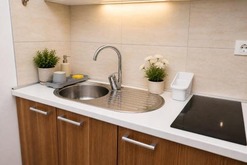 a kitchen with a sink with two plants at Charm Apartment-Cathedral area-Self Check-in in Sarajevo