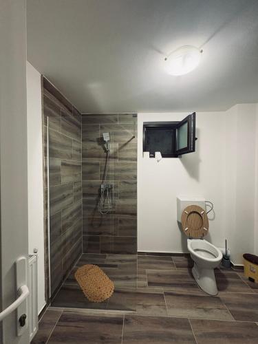 a bathroom with a shower with a toilet and a television at Casa Darian in Dubova
