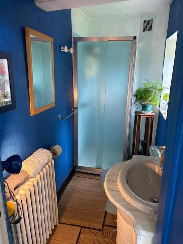 a bathroom with a radiator and a shower and a sink at 11 Steps Rustic Charming Flat in Normandy in Aubusson