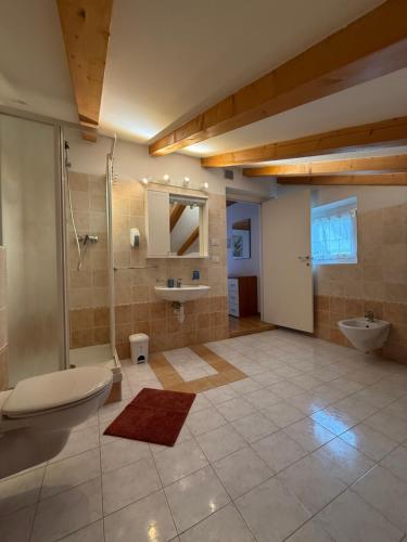 a bathroom with a shower and a toilet and a sink at Al Montel - Tre faggi in Borgo
