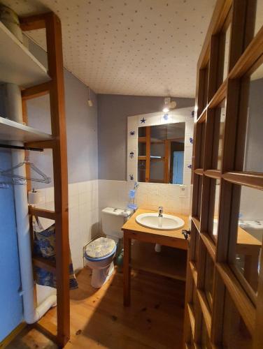 a bathroom with a toilet and a sink at Maison 2 chambres, pleine de Charme in Vic-le-Comte