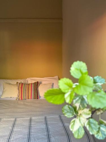 a bedroom with a bed with a pillow and a plant at Tilcara Mistica Hostel in Tilcara
